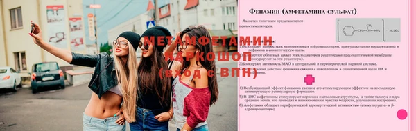 стафф Михайловск