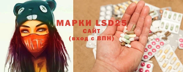 стафф Михайловск