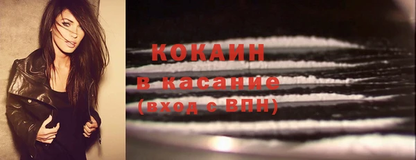 дживик Михайлов