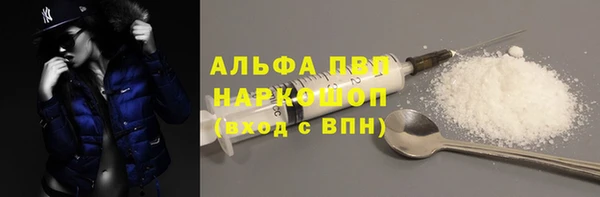 стафф Михайловск