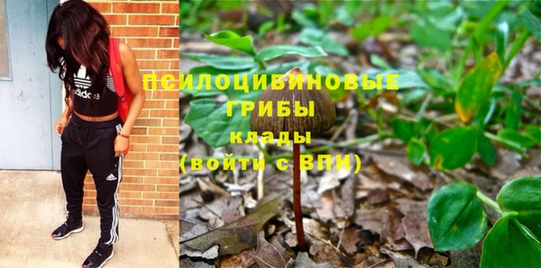 стафф Михайловск