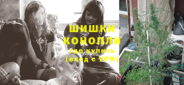 стафф Михайловск